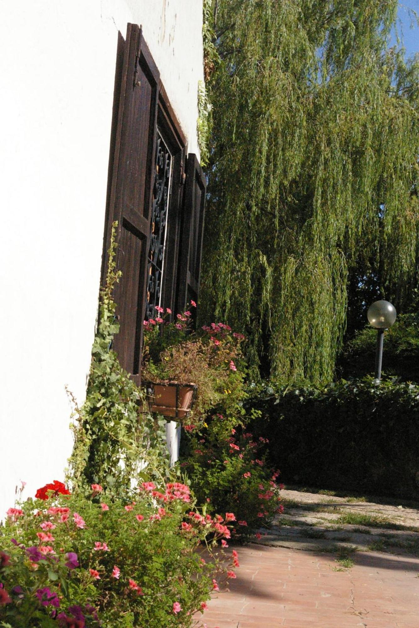 B&B Villa Sans Souci Civitavecchia Exteriör bild