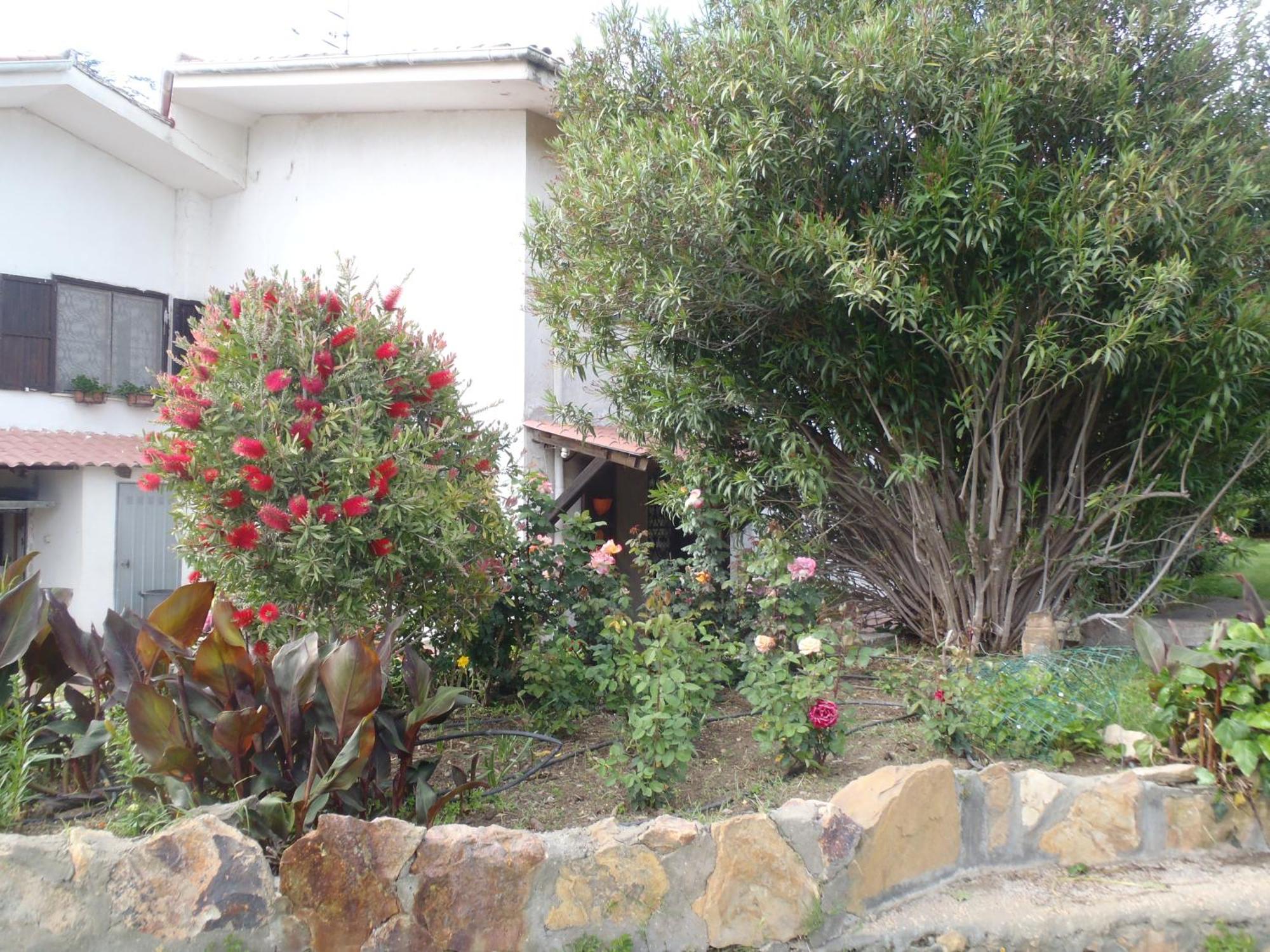 B&B Villa Sans Souci Civitavecchia Exteriör bild