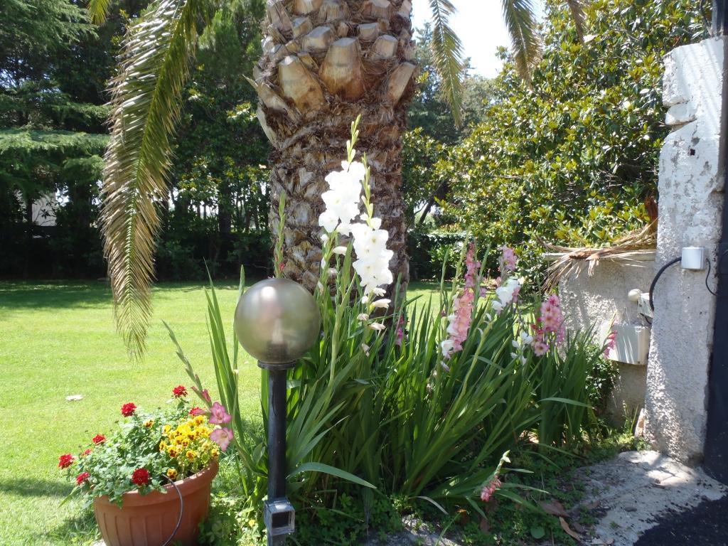 B&B Villa Sans Souci Civitavecchia Exteriör bild