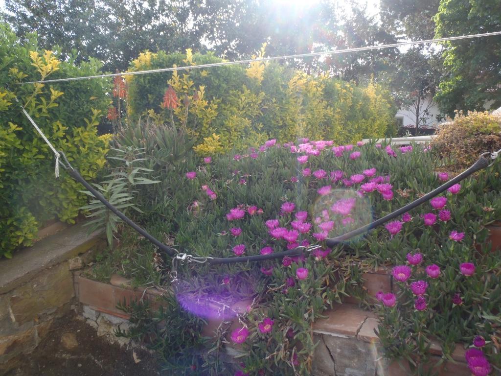 B&B Villa Sans Souci Civitavecchia Exteriör bild